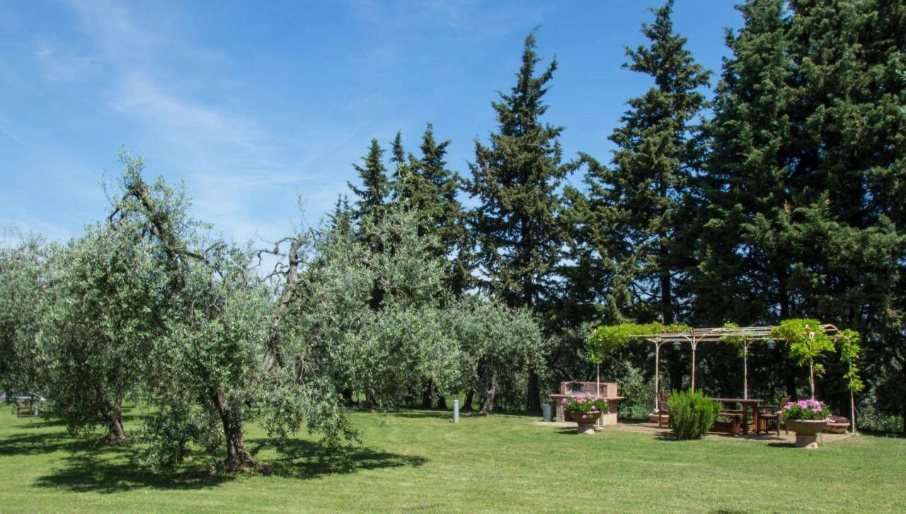 Agriturismo Podere La Casa Palaia Dış mekan fotoğraf